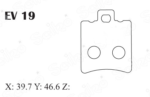 EV 19