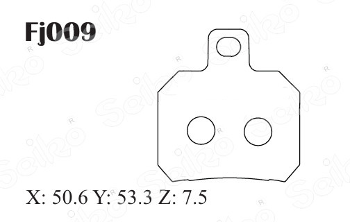 Fj009